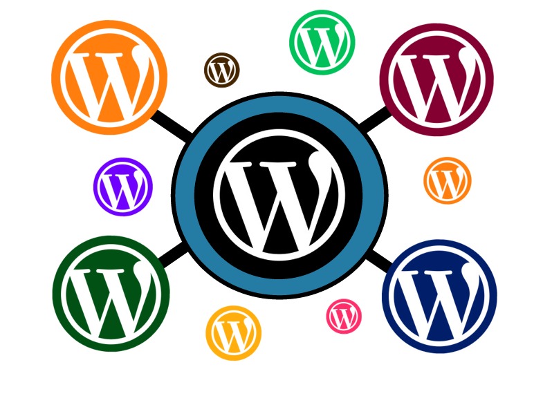 En İyi 10 WordPress Teması