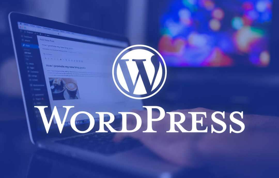 WordPress'in En Popüler 5 Premium Teması