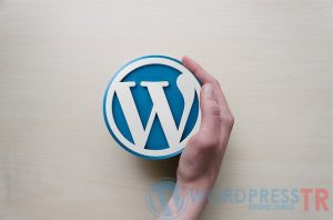 Wordpress Beyaz Ekran Hatası 